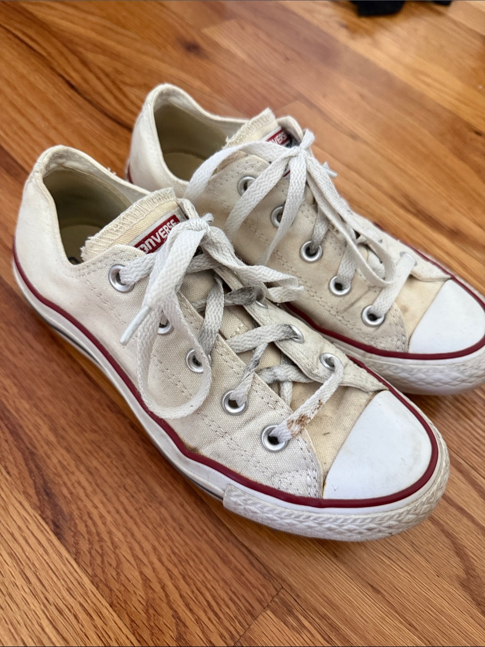 Converse Low Top Canvas Sneakers
